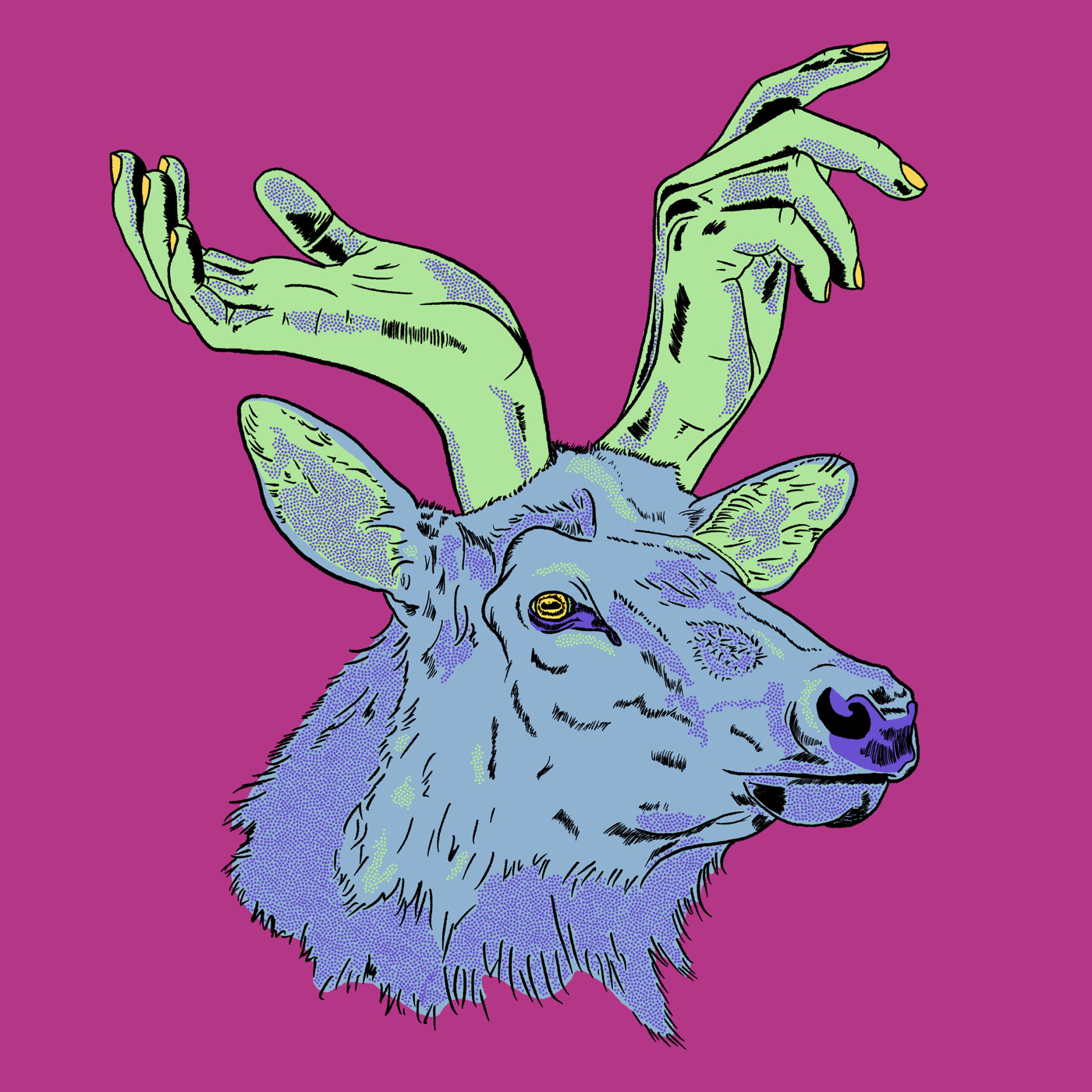 Elk, 2024